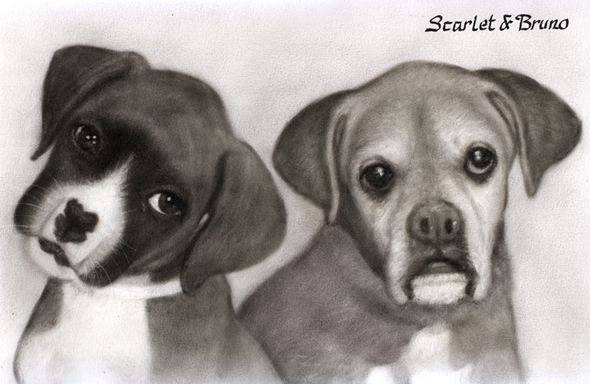 Two premium charcoal drawings of dogs in a compilation style.