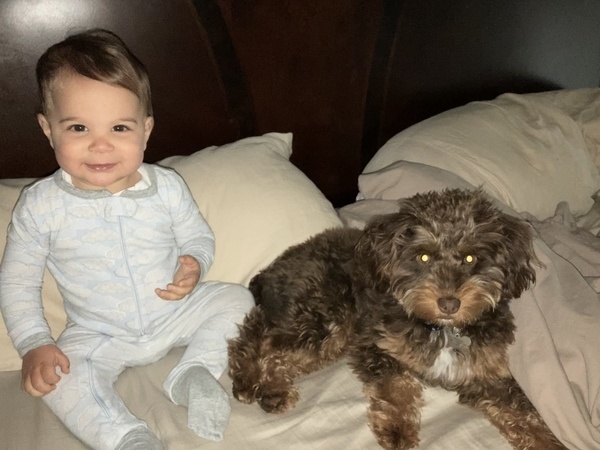 A baby sitting on a bed next to a dog.