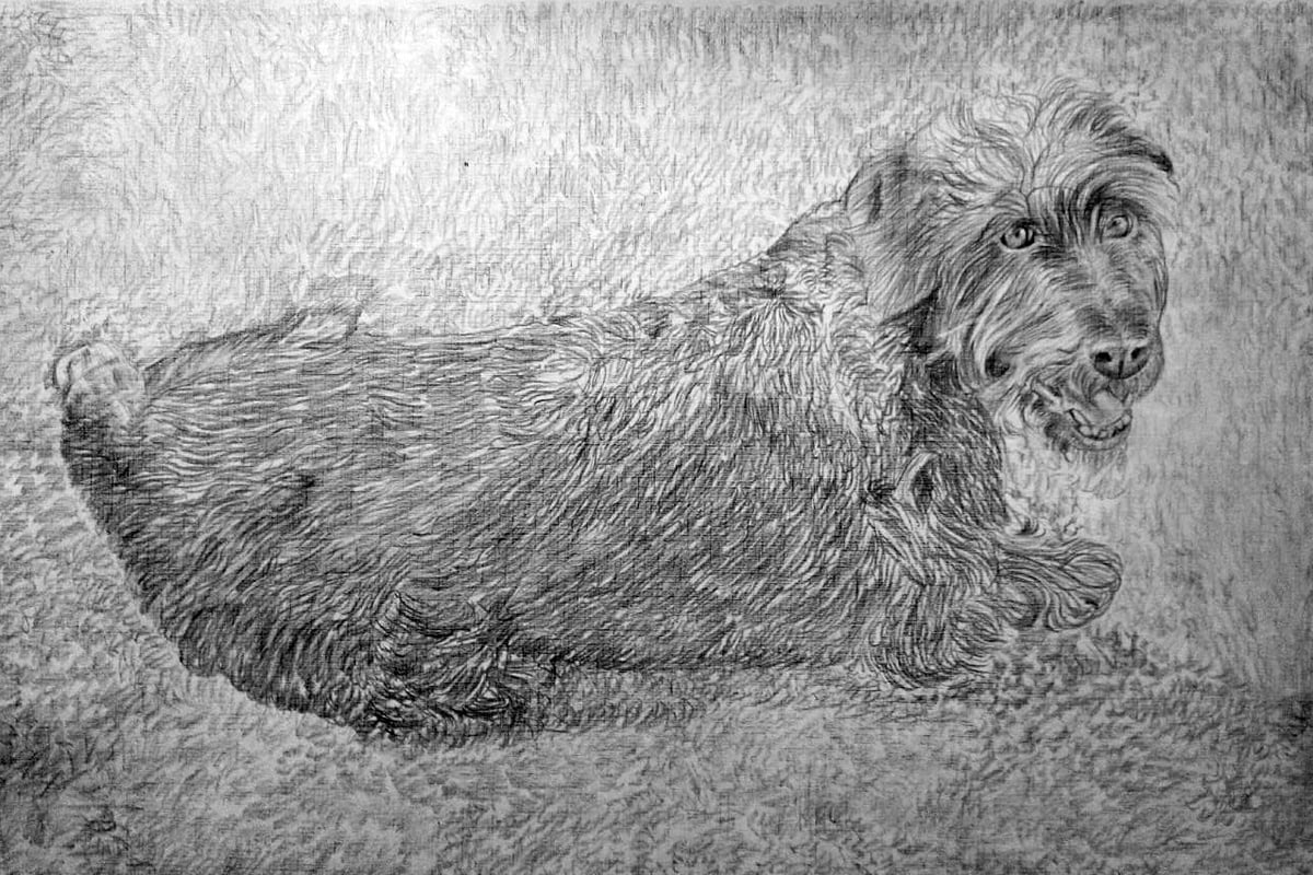 A pencil sketch of a dog in a memorial style, lying on the ground.