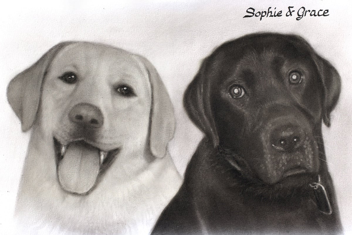 A monochrome photomontage portrait featuring two labrador retrievers.