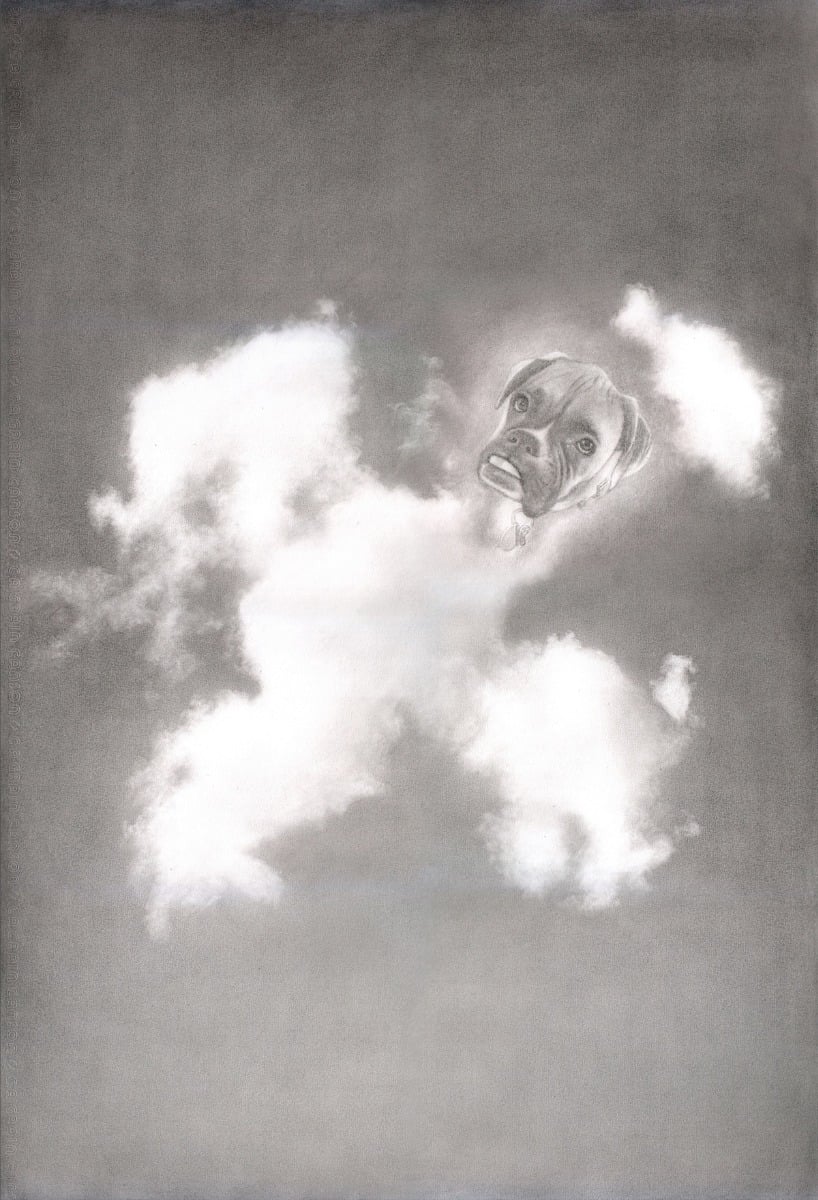 A photomontage portrait of a dog in the clouds using a premium charcoal light style.