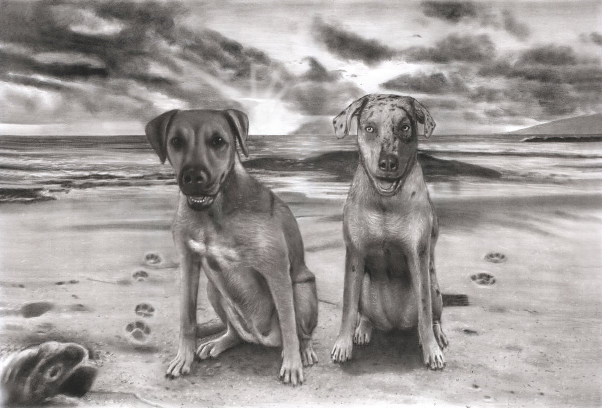 A photomontage drawing of two dogs sitting on the beach in a premium charcoal dark style.