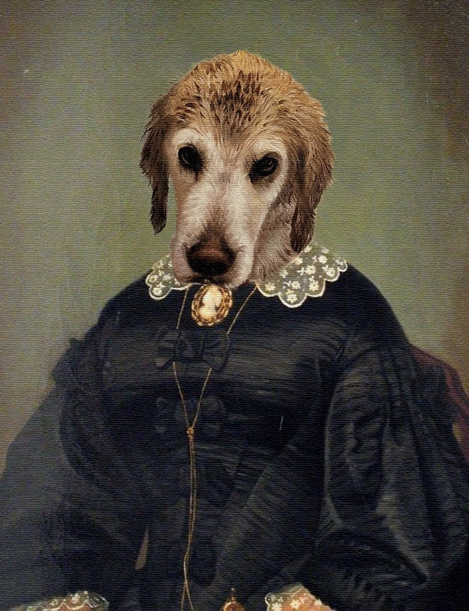 A dog wearing a dress in a historical pet portrait.