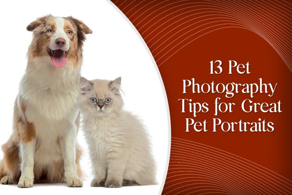 13 Pet Photography Tips for Great Pet Portraits