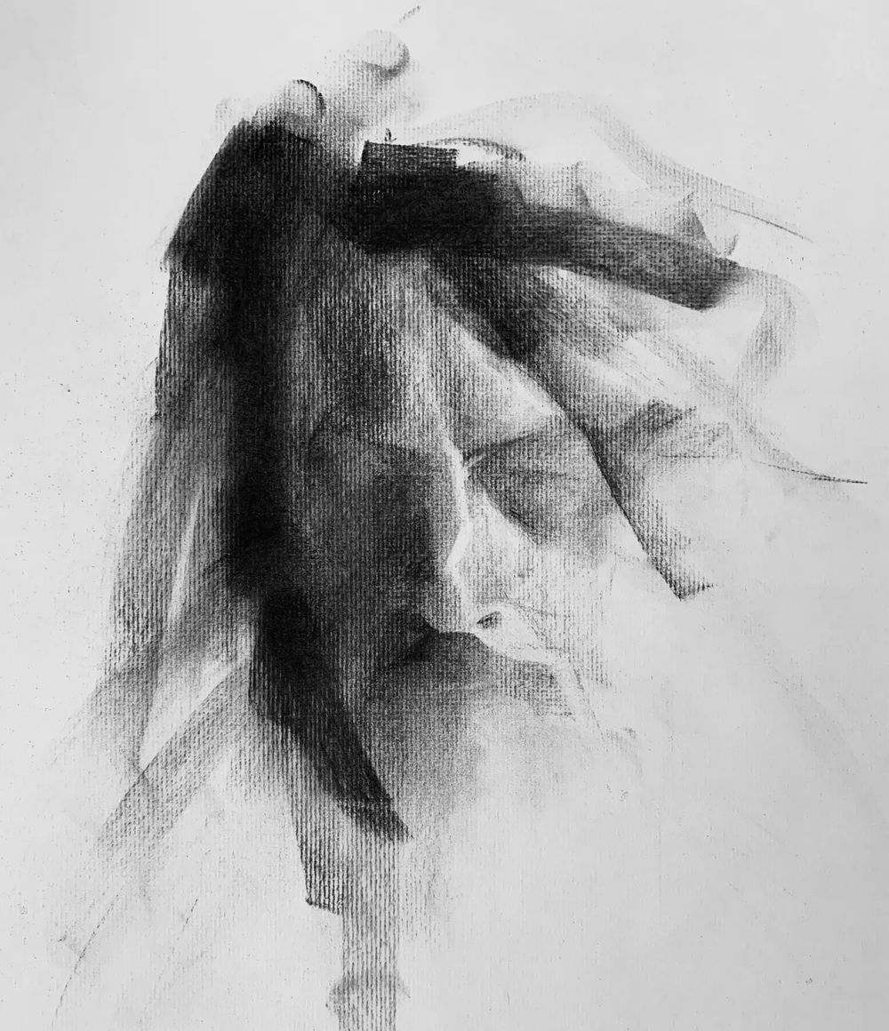 Charcoal drawing, Shading Techniques, Contour Lines & Hatching