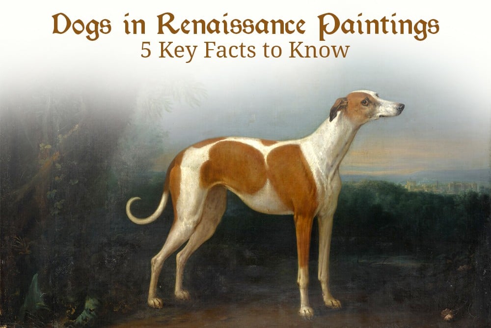 Dog in Renaissance Paintings